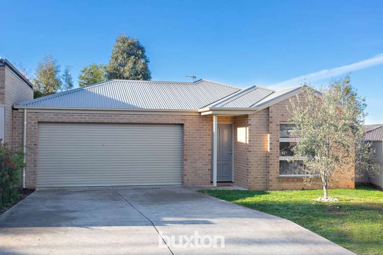 Main view of Homely house listing, 16 Muller Court, Mount Clear VIC 3350