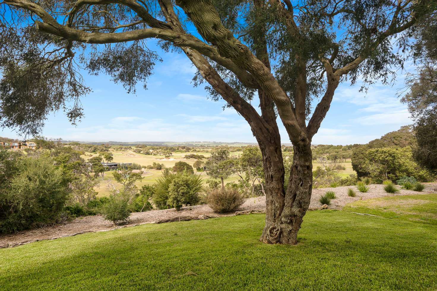 Main view of Homely house listing, 36 The Ridge Road, Fingal VIC 3939