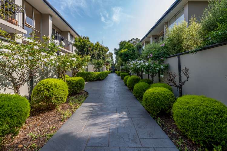 Main view of Homely apartment listing, 8/309 Heidelberg Road, Fairfield VIC 3078