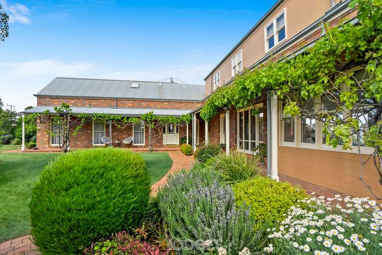 Fifth view of Homely house listing, 1 Melville Avenue, Newtown VIC 3220