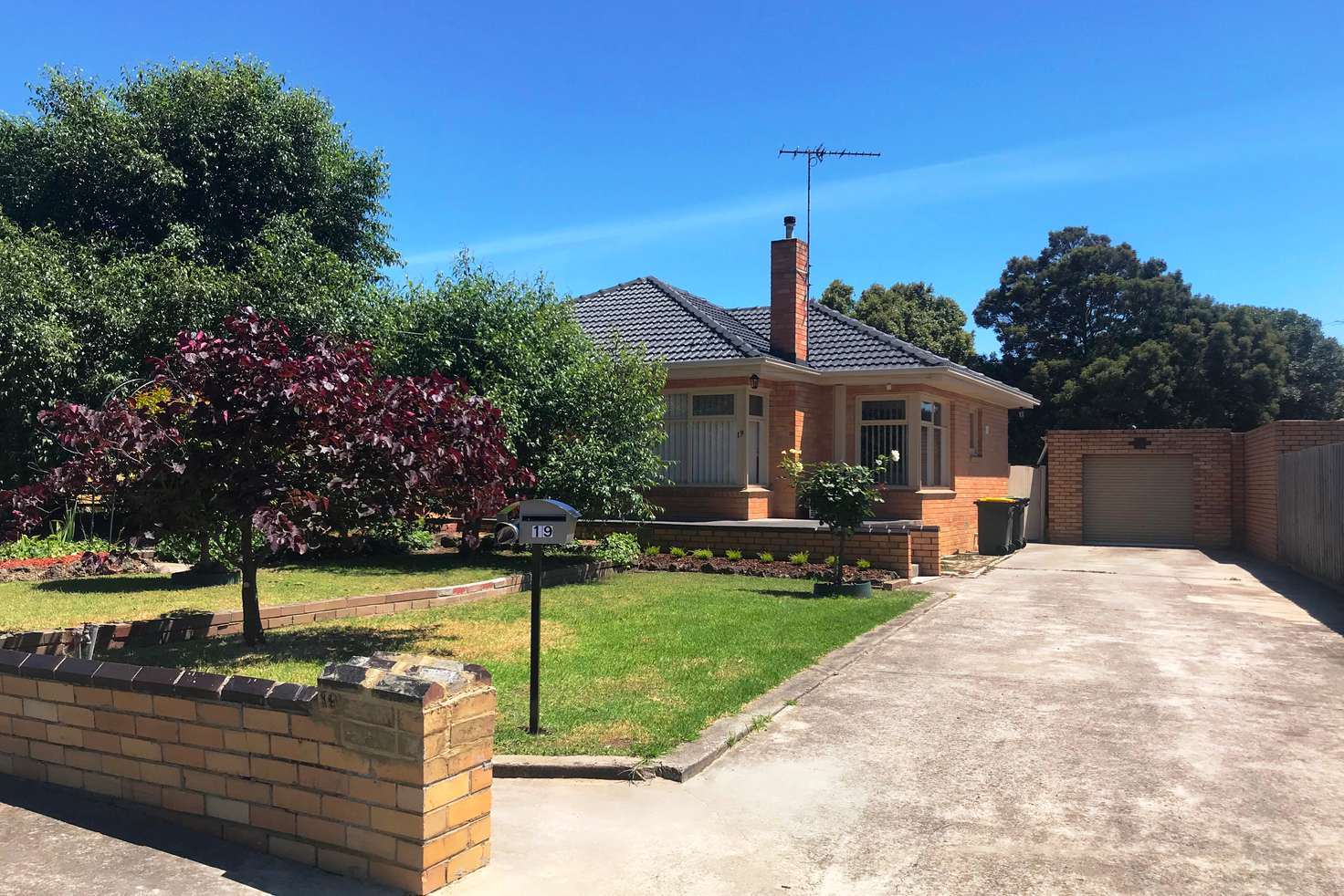 Main view of Homely house listing, 19 Bakewell Street, Herne Hill VIC 3218