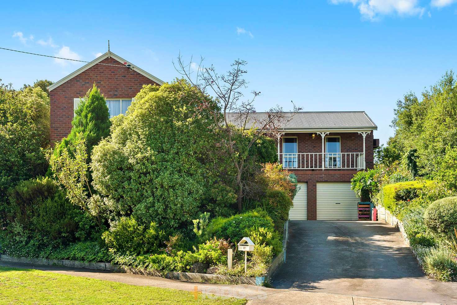 Main view of Homely house listing, 17 Rowan Court, Belmont VIC 3216