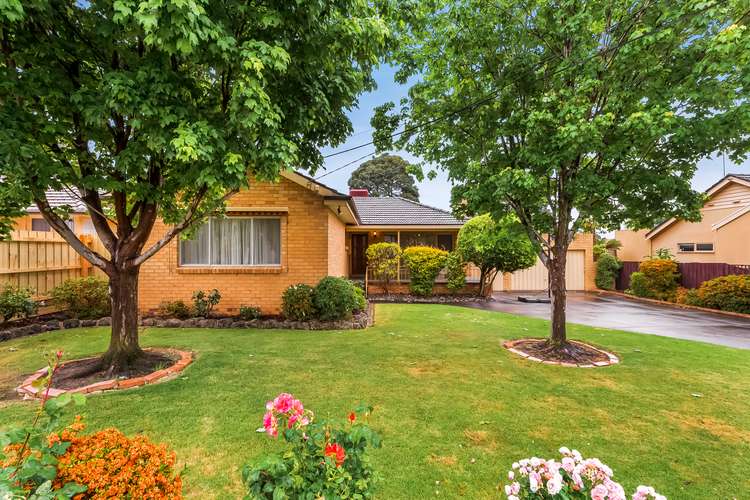 Main view of Homely house listing, 15 Pamay Road, Mount Waverley VIC 3149