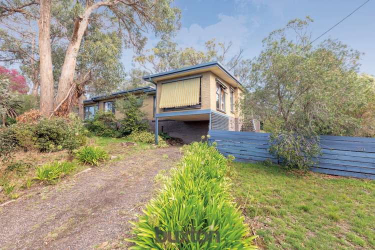 Main view of Homely house listing, 101 Boak Avenue, Mount Helen VIC 3350