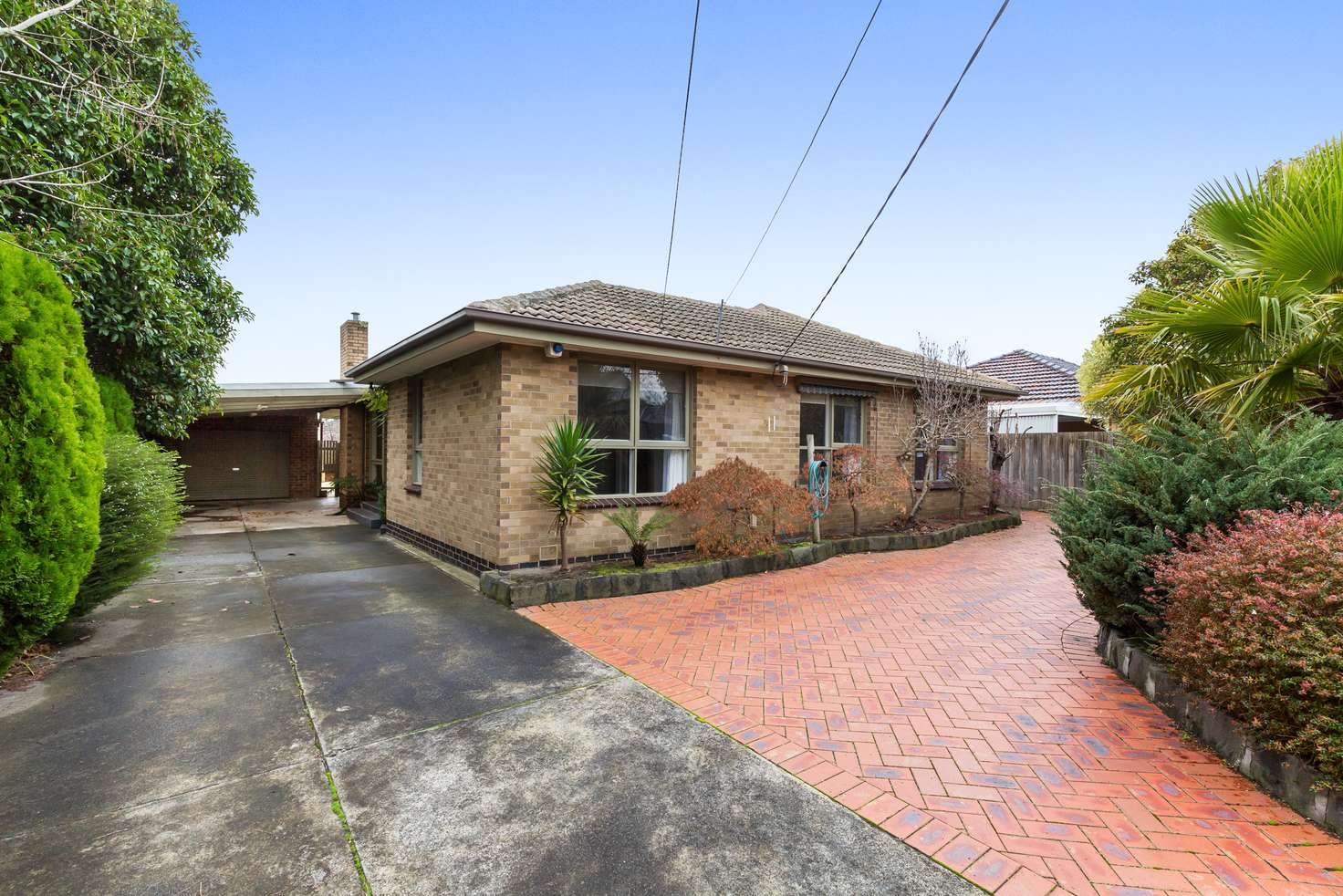 Main view of Homely house listing, 11 Debbie Street, Mount Waverley VIC 3149