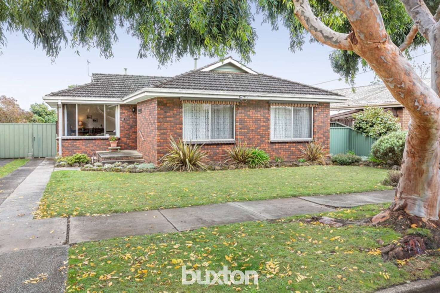 Main view of Homely house listing, 41 Dover Street, Wendouree VIC 3355