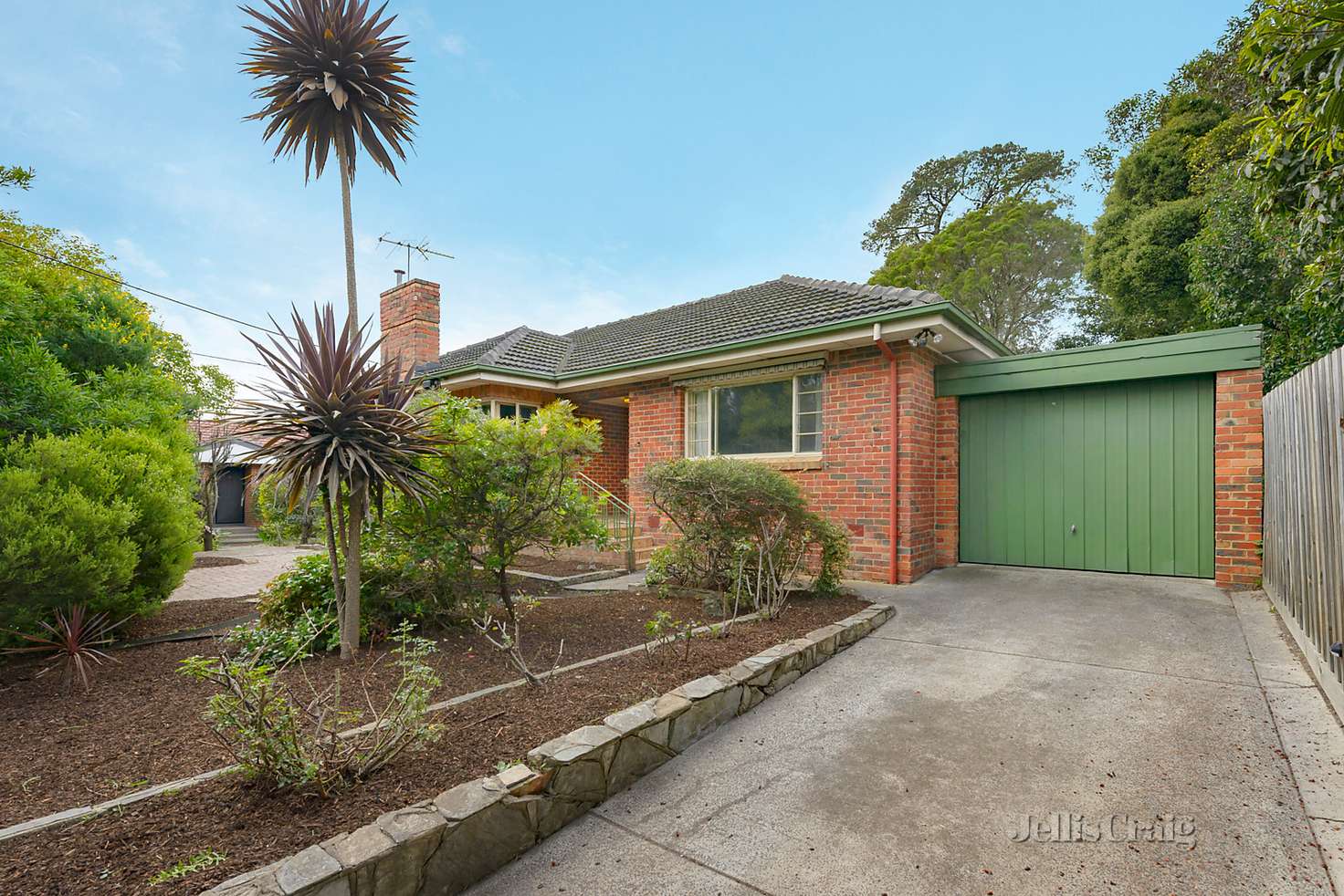 Main view of Homely house listing, 215 Springvale Road, Nunawading VIC 3131