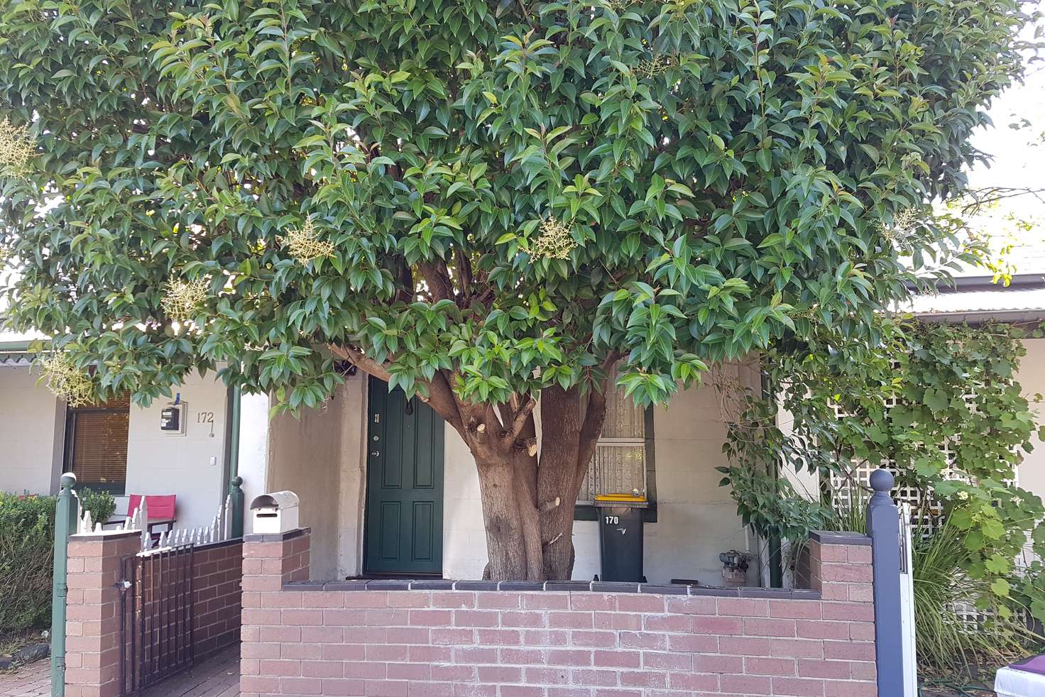 Main view of Homely house listing, 170 Station Street, Carlton VIC 3053