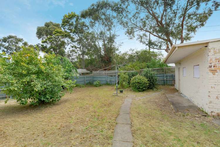 Fifth view of Homely house listing, 25 Lyndhurst Crescent, Box Hill North VIC 3129
