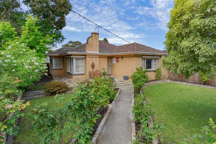 Main view of Homely house listing, 13 Betula Avenue, Nunawading VIC 3131