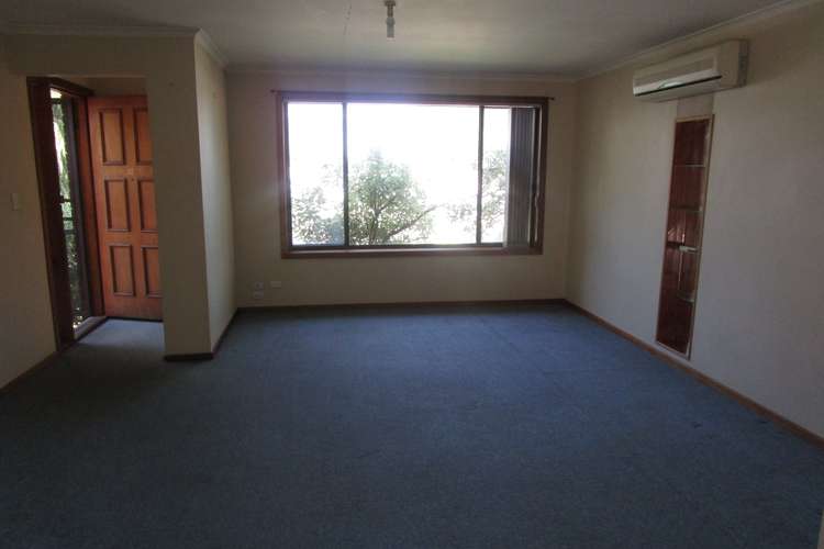 Fourth view of Homely unit listing, 3/66 Royal Avenue, Springvale VIC 3171