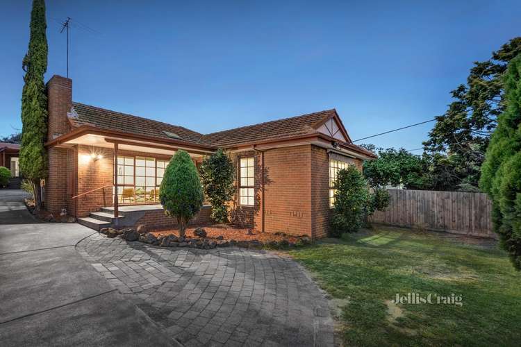 Main view of Homely unit listing, 1/146 Blackburn Road, Doncaster East VIC 3109