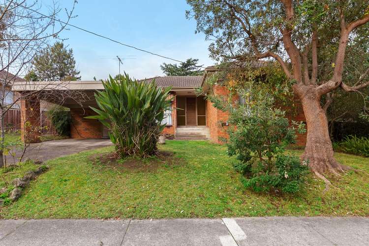 Main view of Homely house listing, 17 Oliver Avenue, Blackburn VIC 3130
