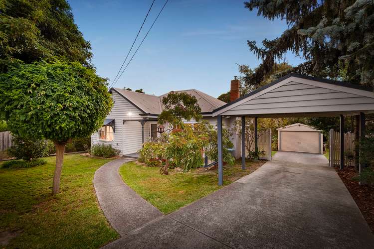 Main view of Homely house listing, 16 Balfour Avenue, Heathmont VIC 3135