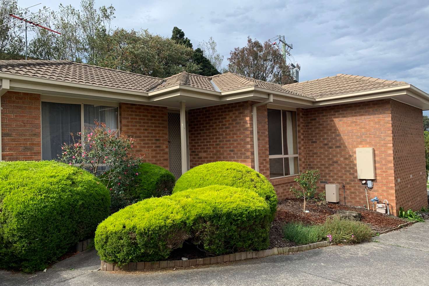Main view of Homely unit listing, 1/2 Beaumont Street, Vermont VIC 3133