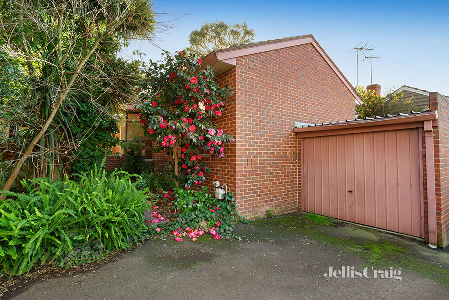 Main view of Homely unit listing, 5/19 Fernside Avenue, Briar Hill VIC 3088