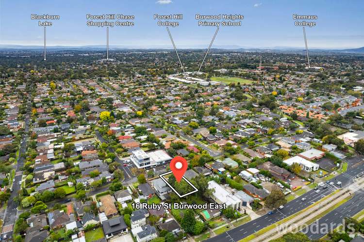 Fourth view of Homely house listing, 16 Ruby Street, Burwood East VIC 3151