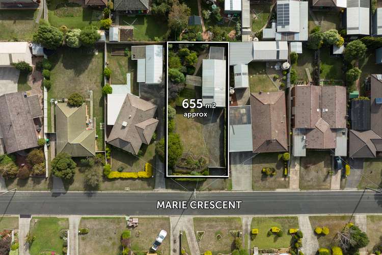 Main view of Homely house listing, 81 Marie Crescent, Wendouree VIC 3355