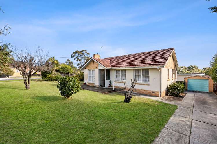 Main view of Homely house listing, 31 Electra Avenue, Ashwood VIC 3147