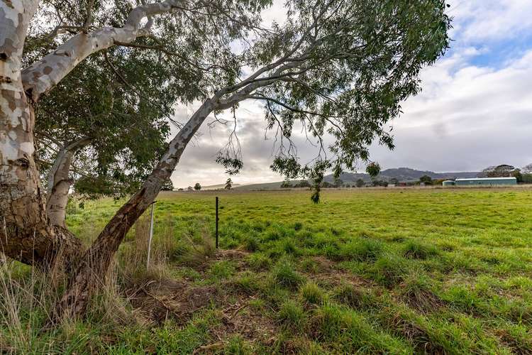 Fifth view of Homely house listing, 96 Settlement Road, Waubra VIC 3352