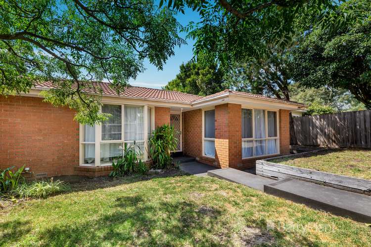 Main view of Homely unit listing, 1/37 Wimmera Street, Box Hill North VIC 3129