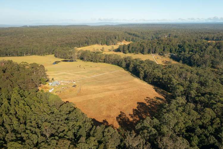 Main view of Homely acreageSemiRural listing, D1590A Princes Highway, Tomerong NSW 2540