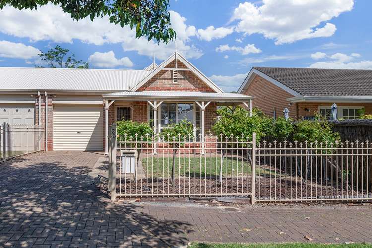 20 Jellicoe Street, Linden Park SA 5065