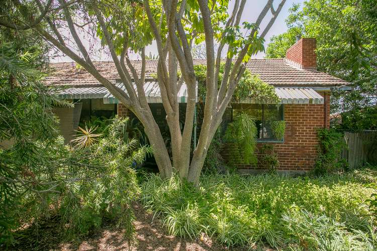 16 Wynyard Street, Yokine WA 6060