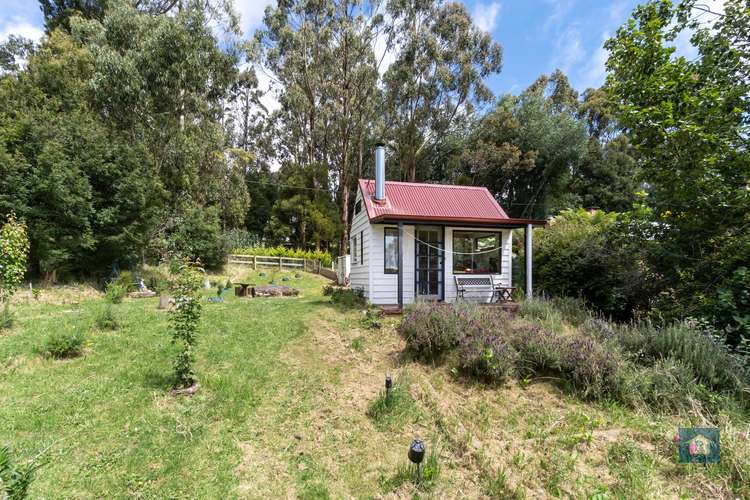 Main view of Homely other listing, 19 Southorn Street, Beech Forest VIC 3237