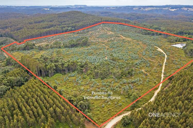 LOT 1 Humbles Road, Preolenna TAS 7325