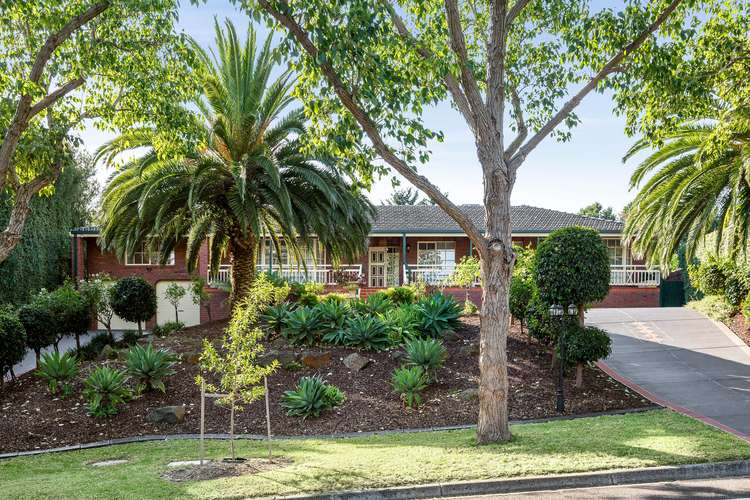 Main view of Homely house listing, 55 Drummond Street, Greenvale VIC 3059