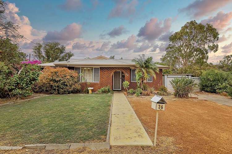 Main view of Homely house listing, 36 Ellesmere Road, Swan View WA 6056