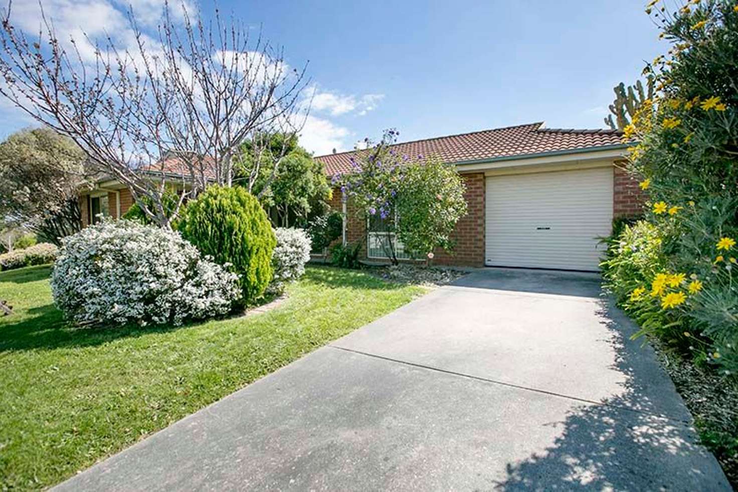 Main view of Homely house listing, 81 Granite Drive, Langwarrin VIC 3910