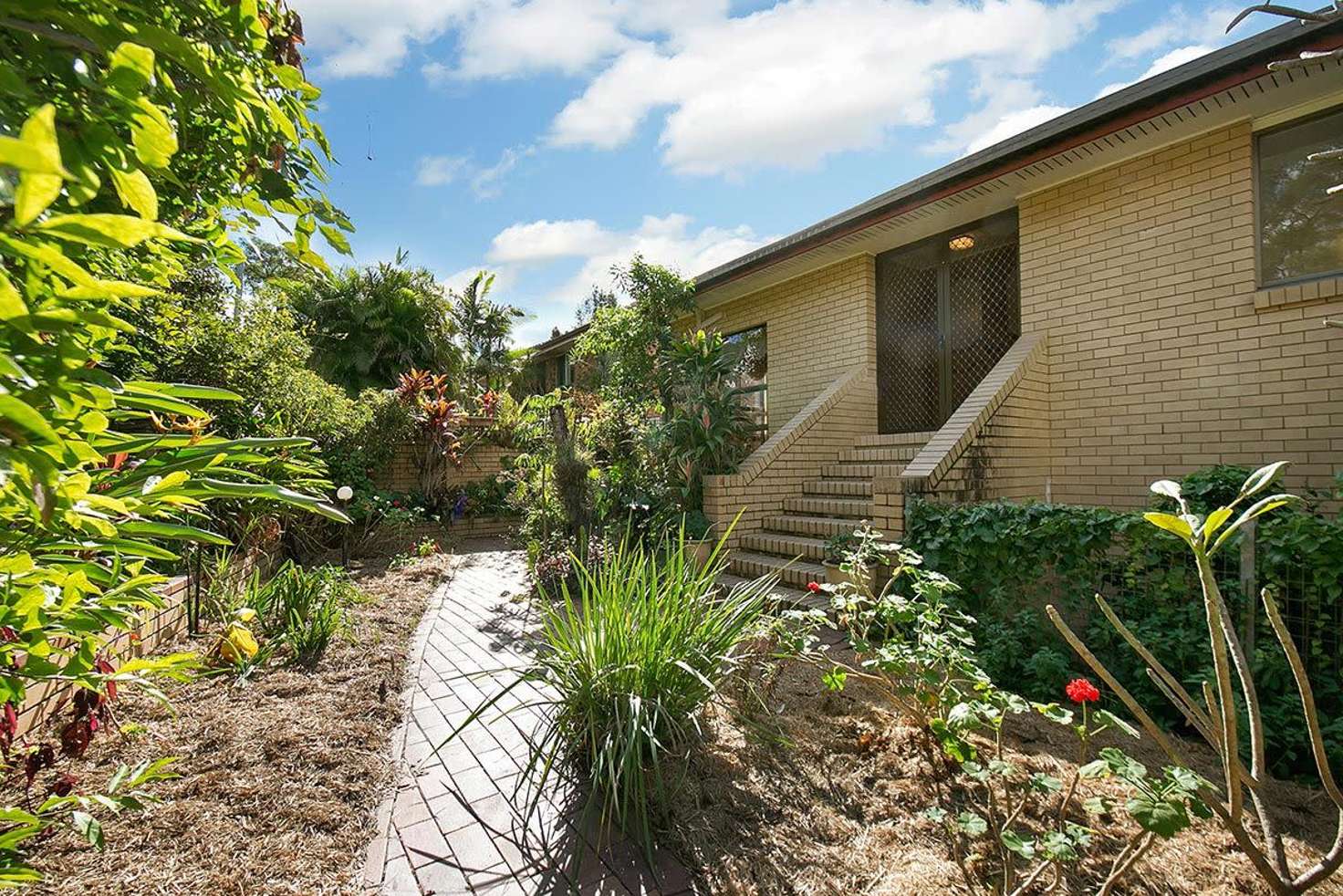 Main view of Homely house listing, 19 Merrilyn St, Chapel Hill QLD 4069