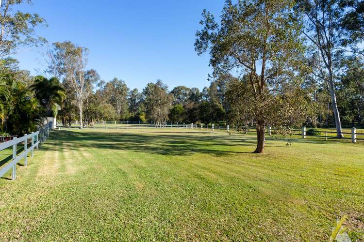 Fourth view of Homely acreageSemiRural listing, 105 Riversleigh Road, Bellbowrie QLD 4070