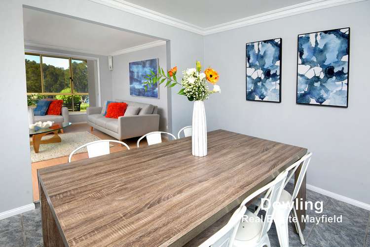 Third view of Homely house listing, 44 Eucalyptus Circuit, Warabrook NSW 2304