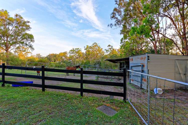 Sixth view of Homely acreageSemiRural listing, 14 Woods Road, Sharon QLD 4670