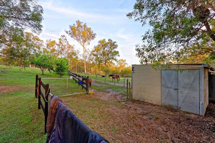 Seventh view of Homely acreageSemiRural listing, 14 Woods Road, Sharon QLD 4670