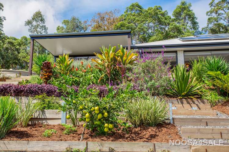 Fifth view of Homely house listing, 12 Omaroo Place, Cooran QLD 4569