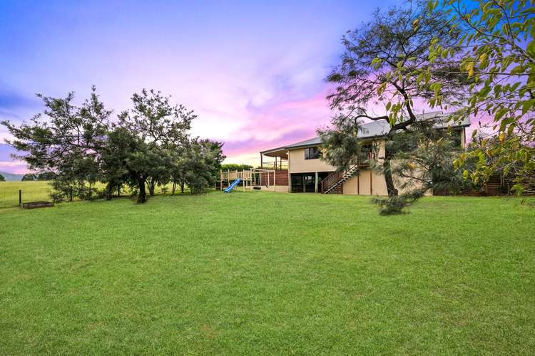 Fourth view of Homely house listing, 22 Harris Drive, Palmwoods QLD 4555