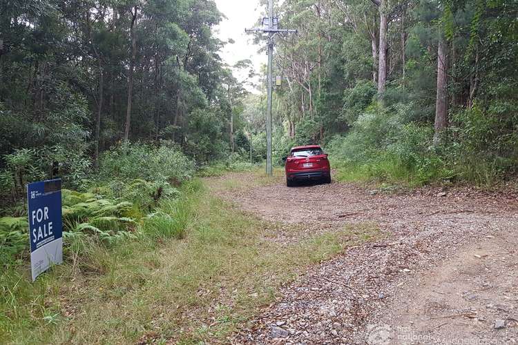 Third view of Homely residentialLand listing, 1937 Springbrook Road, Springbrook QLD 4213