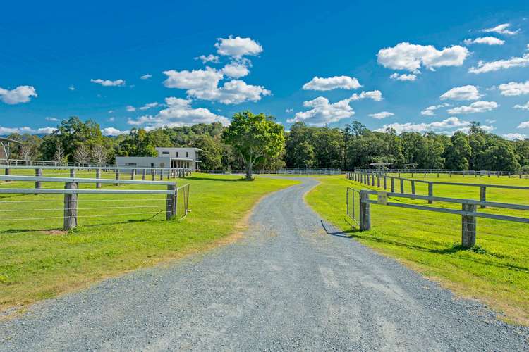 Second view of Homely acreageSemiRural listing, 41 Equestrian Drive, Maudsland QLD 4210