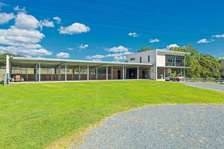 Third view of Homely acreageSemiRural listing, 41 Equestrian Drive, Maudsland QLD 4210