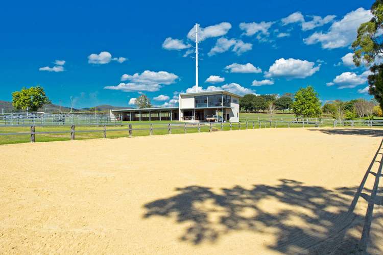 Fourth view of Homely acreageSemiRural listing, 41 Equestrian Drive, Maudsland QLD 4210