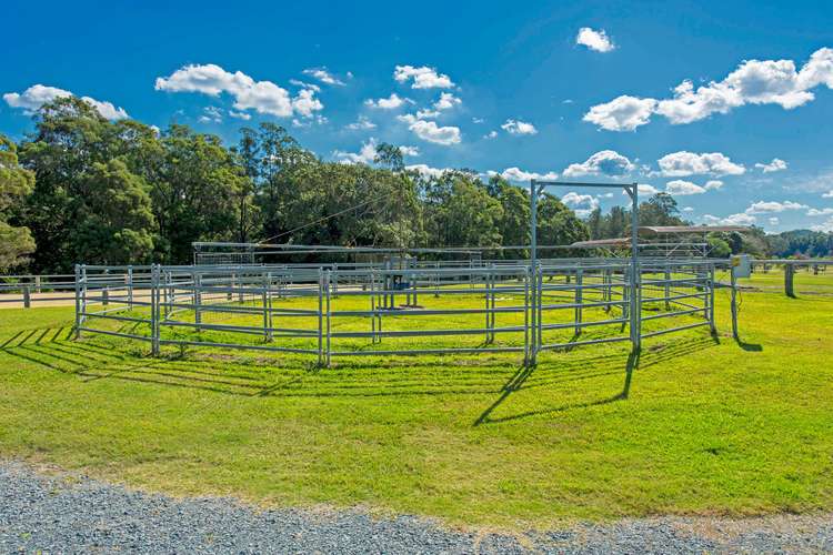 Sixth view of Homely acreageSemiRural listing, 41 Equestrian Drive, Maudsland QLD 4210
