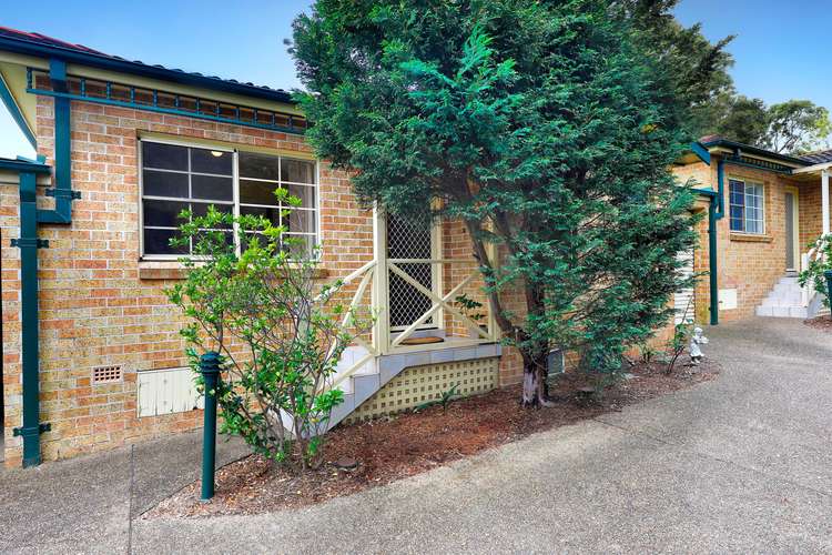 Main view of Homely villa listing, 3/118 Glencoe Street, Sutherland NSW 2232