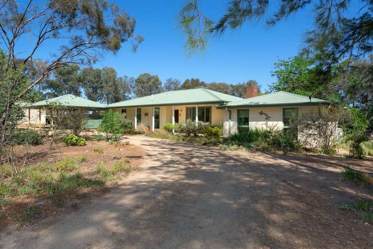 4 Birch Road, Lake Albert NSW 2650