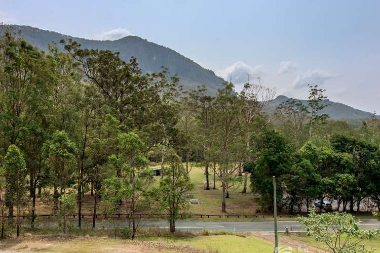 Fourth view of Homely acreageSemiRural listing, 2903 Nerang Murwillumbah Road, Natural Bridge QLD 4211