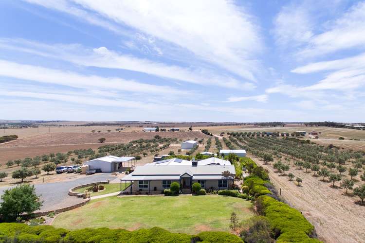 Fourth view of Homely house listing, 472 Belvedere Road, Mannum SA 5238