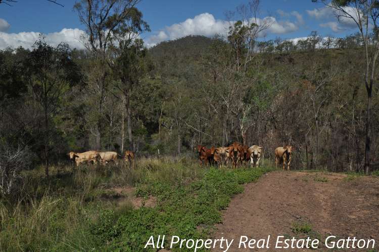 Sixth view of Homely residentialLand listing, 130 Goltz Road, Black Duck Creek QLD 4343